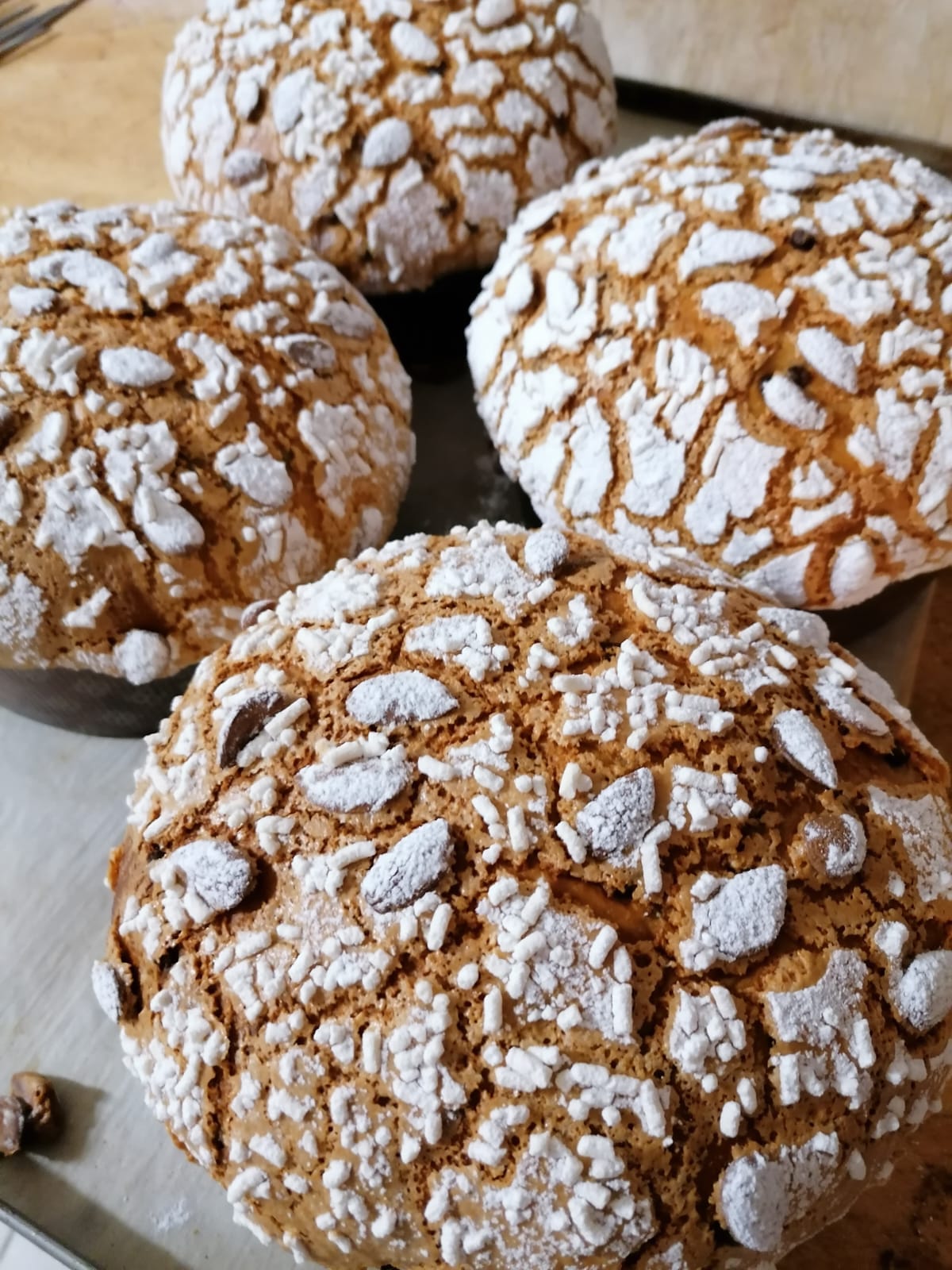 Panettone Tradizionale del Forno di Pollone Walter, panetteria artigianale a Santena.