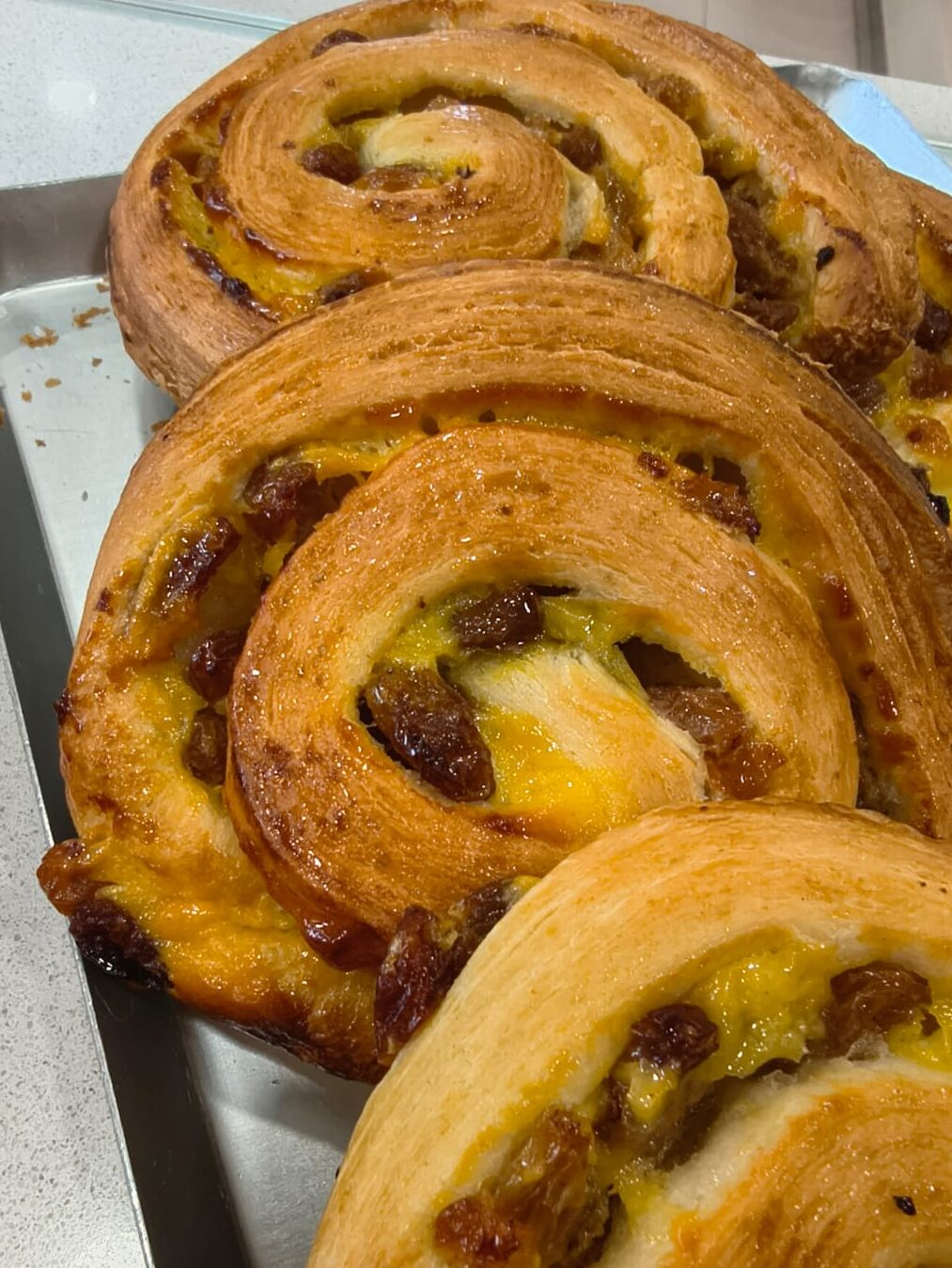 Girella con i canditi del Forno di Pollone Walter 