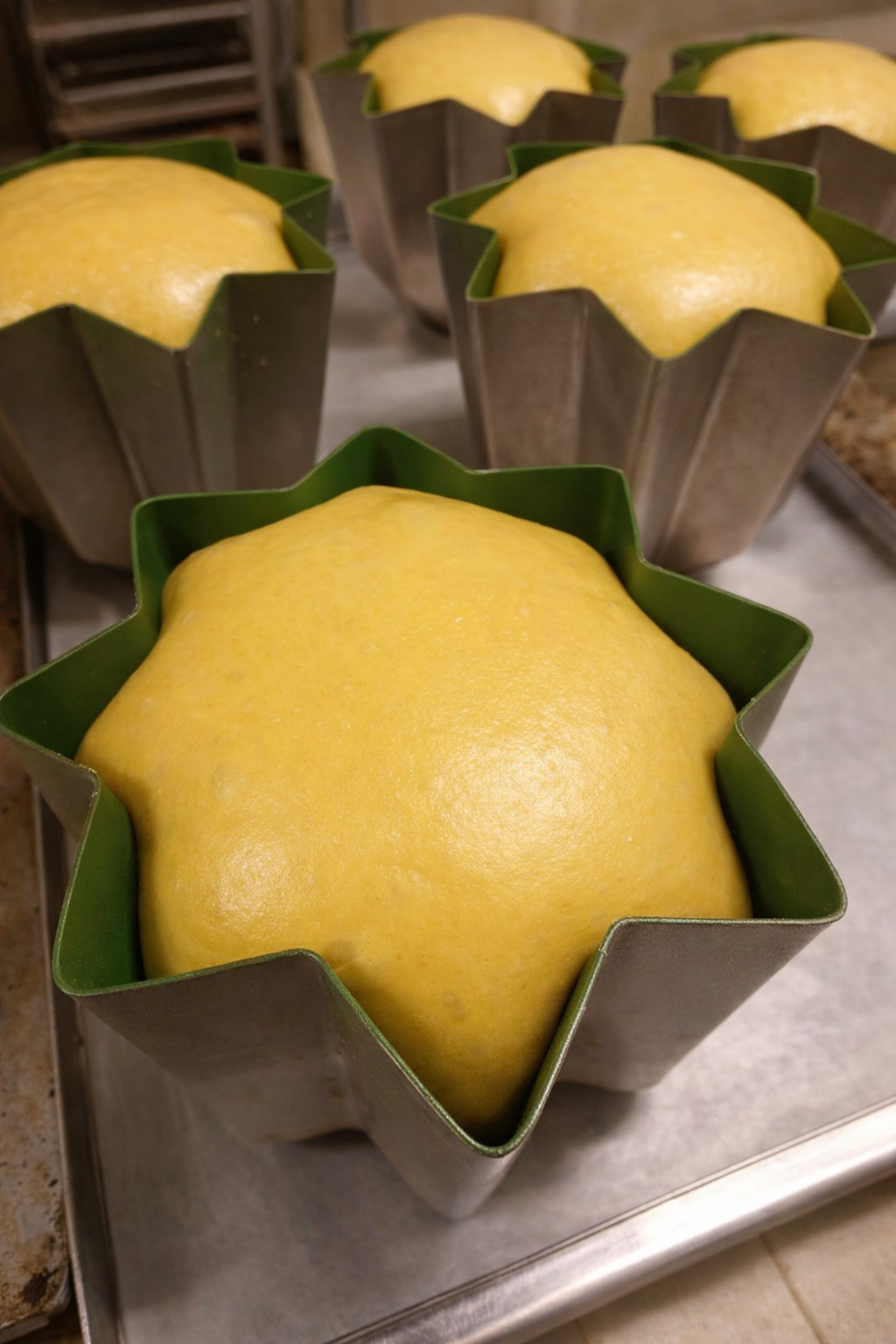 Brioche appena Sfornata il forno di pollone Walter